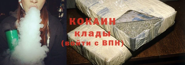 индика Михайлов