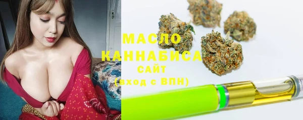 индика Михайлов