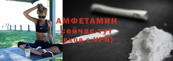 индика Михайлов