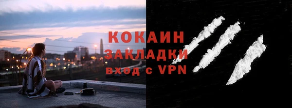 индика Михайлов