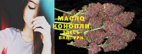 индика Михайлов