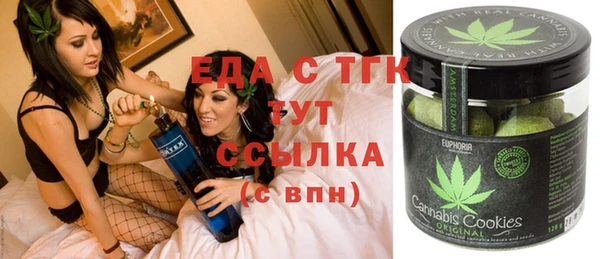 индика Михайлов