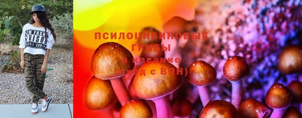 индика Михайлов
