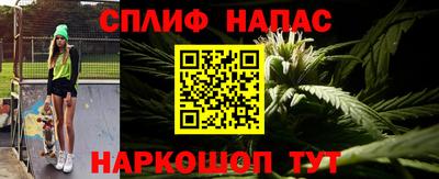 крисы Бийск