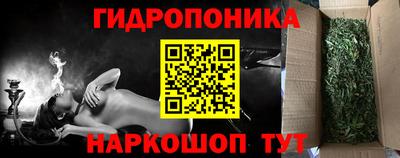 индика Балашиха