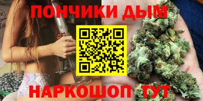 крисы Бийск