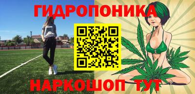 скорость Берёзовский