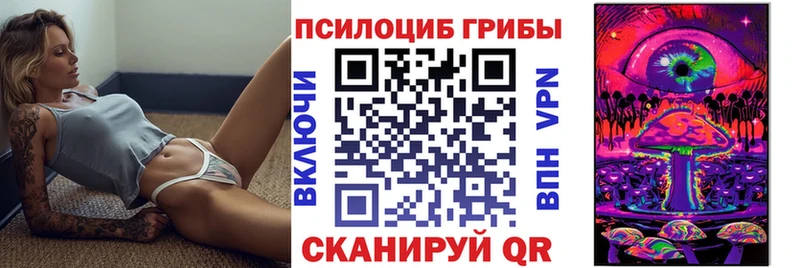 даркнет сайт  Владимир  Галлюциногенные грибы GOLDEN TEACHER 