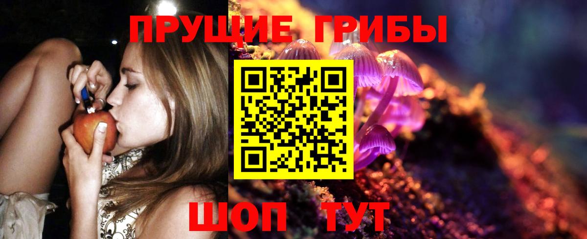 Галлюциногенные грибы Psilocybe  купить наркотик  Владимир  Вход с VPN 