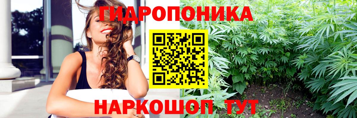 Владимир  Конопля Amnesia  Бошки Шишки ГИДРОПОН  Вход с VPN  Каннабис Amnesia 
